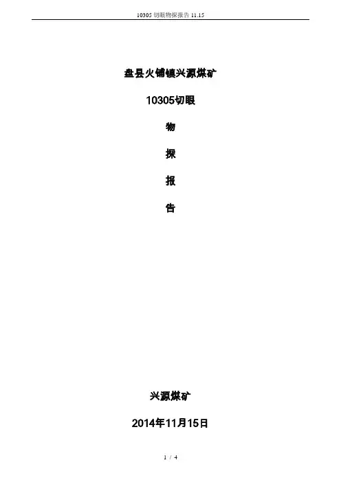 10305切眼物探报告11.15