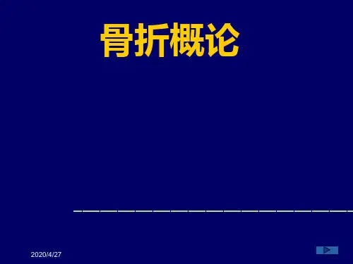 骨折概论ppt