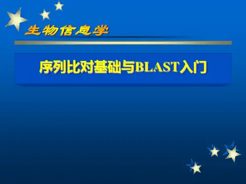 序列比对基础与BLAST入门打分矩阵