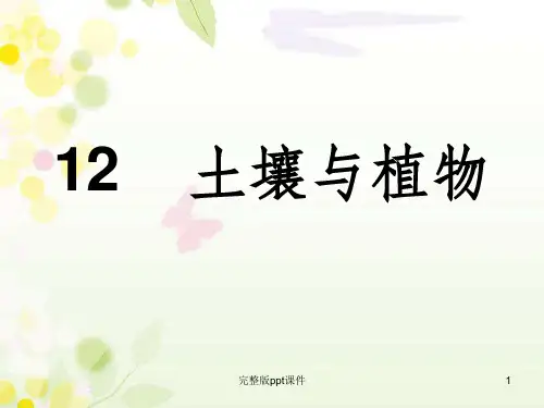 一年级科学第十二课土壤与植物ppt课件