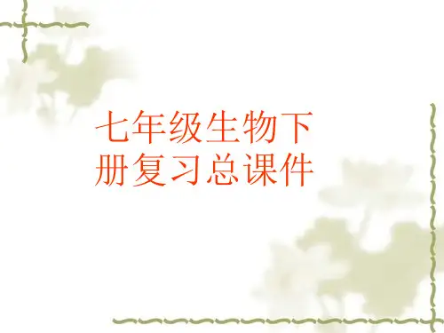 人教版七年级下册生物总复习课件知识点总汇