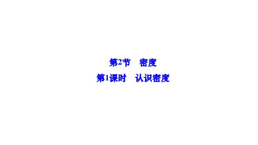 6.2 密度    (第1课时 认识密度)课件  物理人教版八年级上册