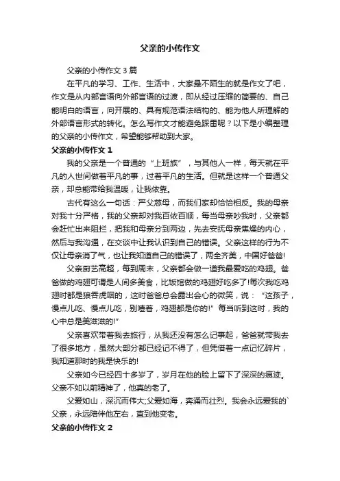 父亲的小传作文3篇