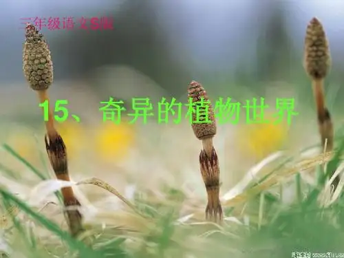 奇异的植物世界课件