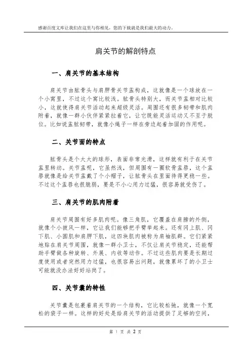 肩关节的解剖特点
