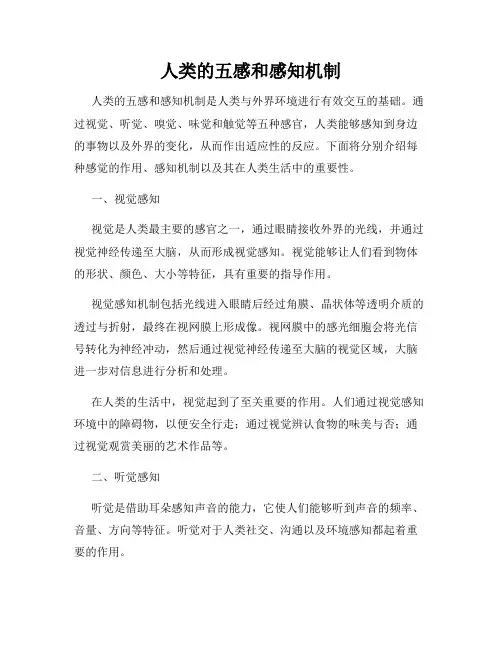 人类的五感和感知机制