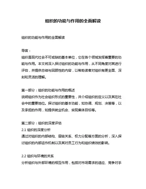 组织的功能与作用的全面解读