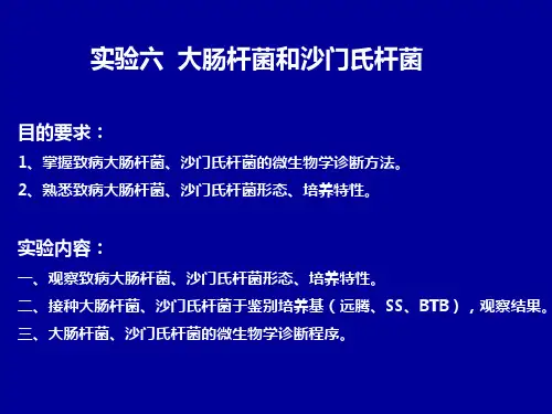 实验六 大肠杆菌和沙门氏杆菌