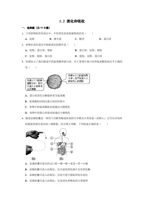 济南版生物七年级下册 消化和吸收