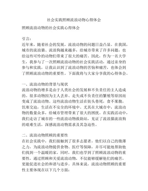 社会实践照顾流浪动物心得体会