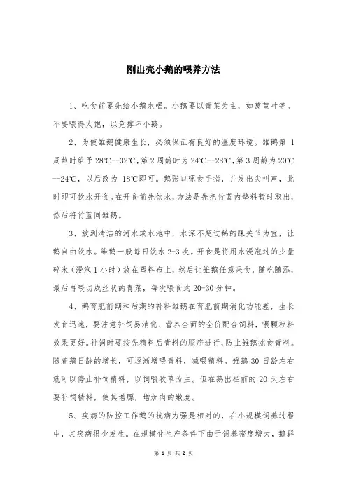 刚出壳小鹅的喂养方法
