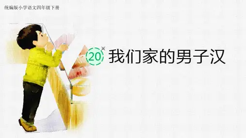 我们家的男子汉 课件(31张PPT)