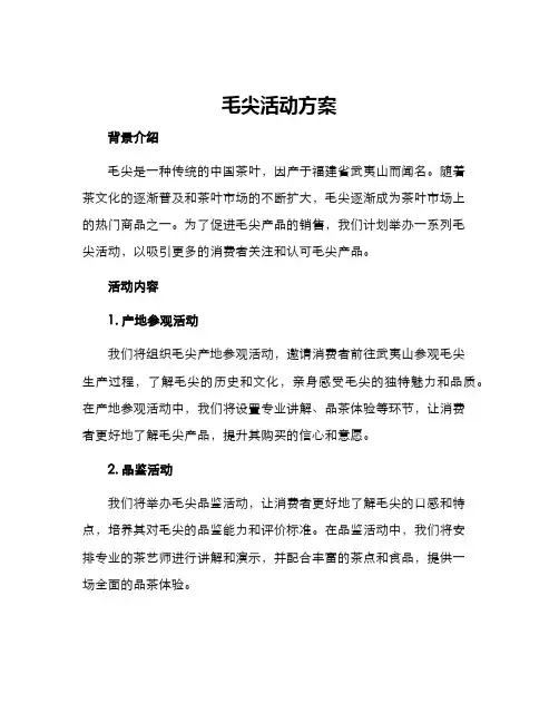 毛尖活动方案