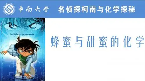 柯南侦探原理详解37蜂蜜