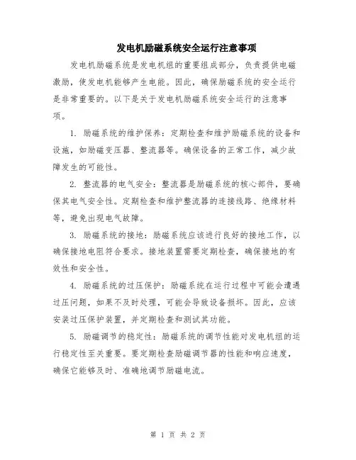 发电机励磁系统安全运行注意事项