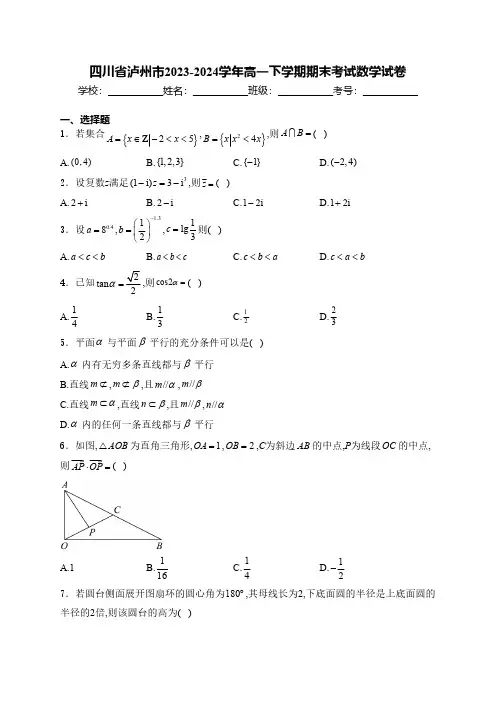 四川省泸州市2023-2024学年高一下学期期末考试数学试卷(含解析)