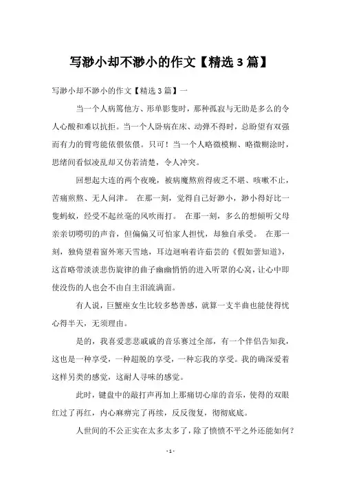 写渺小却不渺小的作文【3篇】