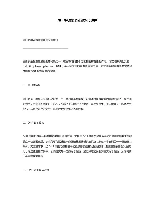 蛋白质和双缩脲试剂反应的原理