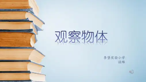 苏教版二年级上册数学精选课件：观察物体)