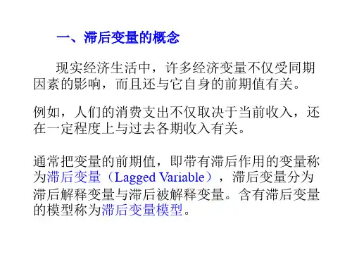 滞后变量讲义