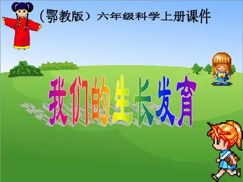 鄂教版六年级科学上册全册课件汇总