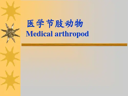医学节肢动物PPT课件