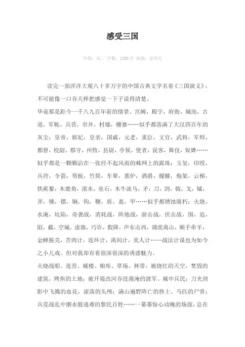 感受三国1200字作文