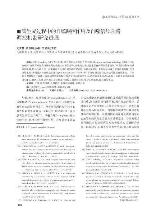 血管生成过程中的自噬调控作用及自噬信号通路调控机制研究进展