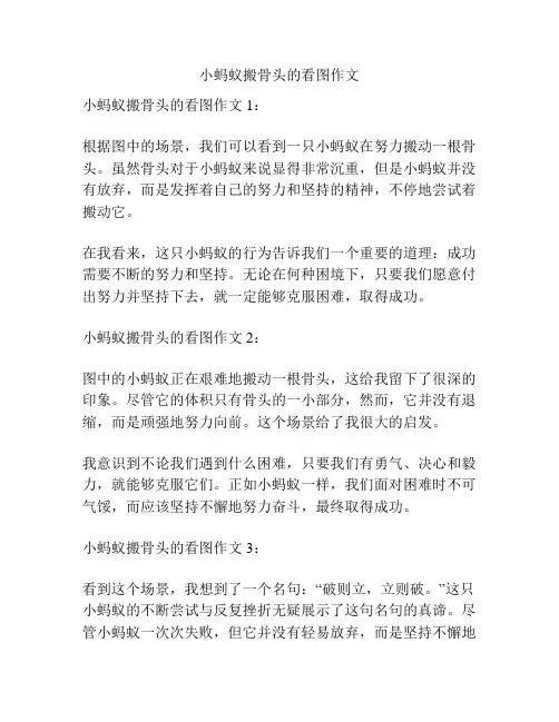 小蚂蚁搬骨头的看图作文
