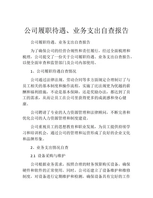 公司履职待遇、业务支出自查报告