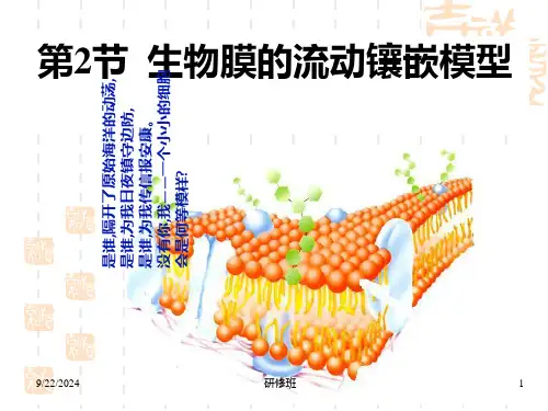 生物膜的流动镶嵌模型ppt课件