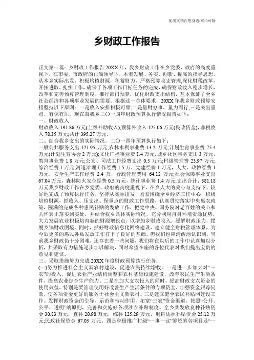 乡财政工作报告