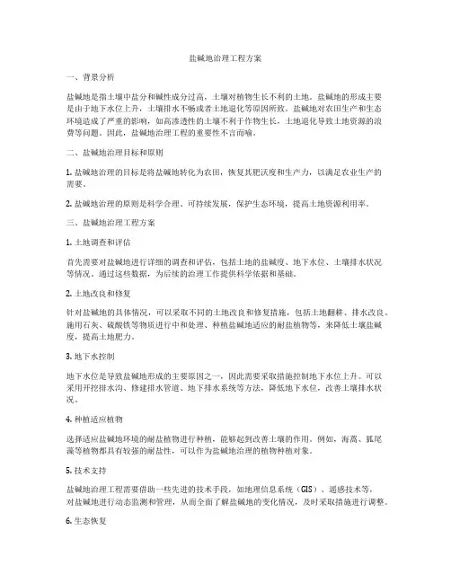 盐碱地治理工程方案