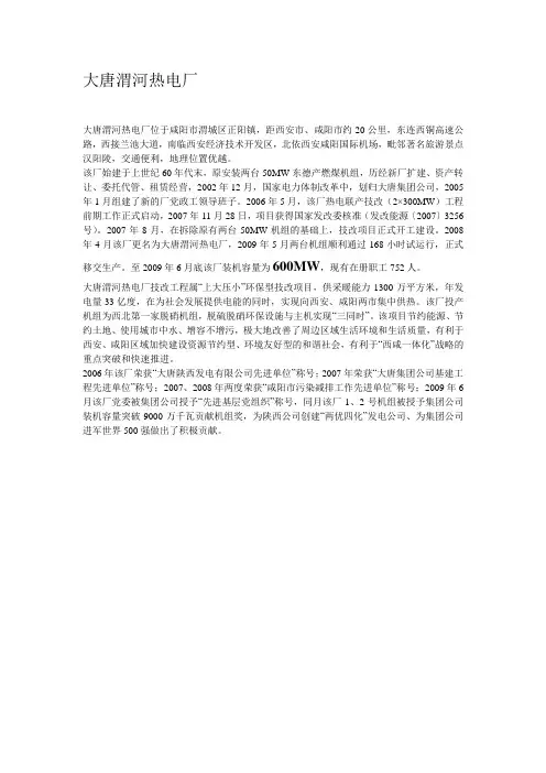 大唐陕西各公司和电厂状况