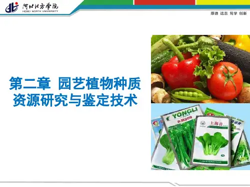 园艺植物种质资源研究与鉴定技术