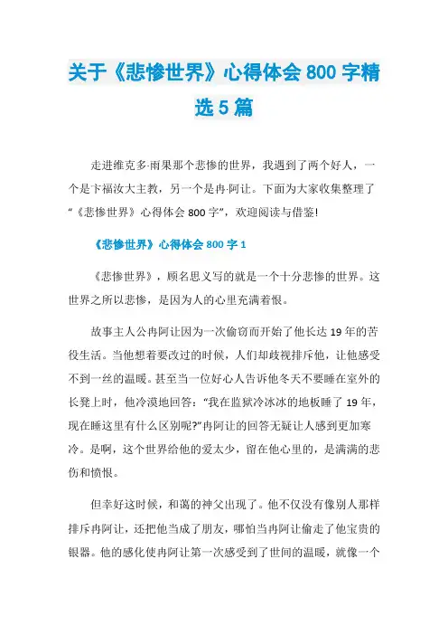 关于《悲惨世界》心得体会800字精选5篇