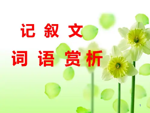赏析记叙文词语(整理好的)PPT课件