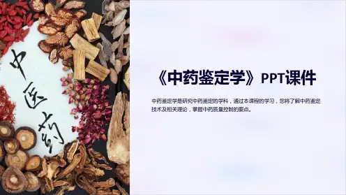 《中药鉴定学》课件2