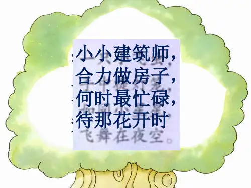 三年级语文上册14《蜜蜂》PPT课件