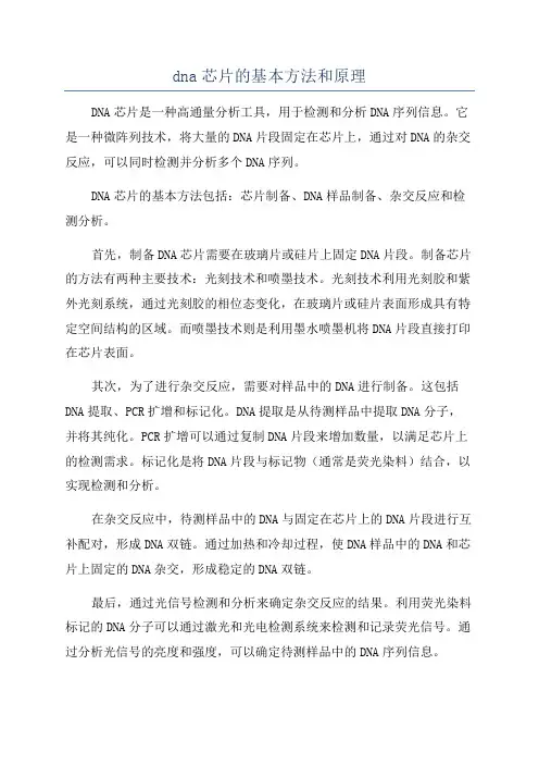 dna芯片的基本方法和原理