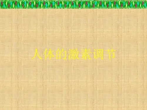 济南版生物七下《人体的激素调节》ppt课件
