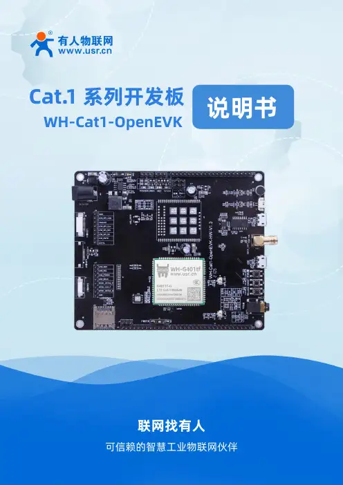 usr wh-cat1-openevk 开发板说明书