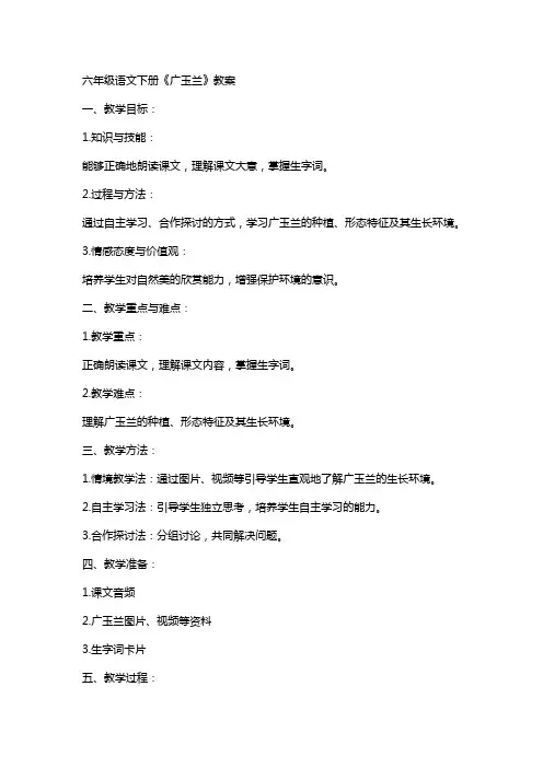 六年级语文下册《广玉兰》教案