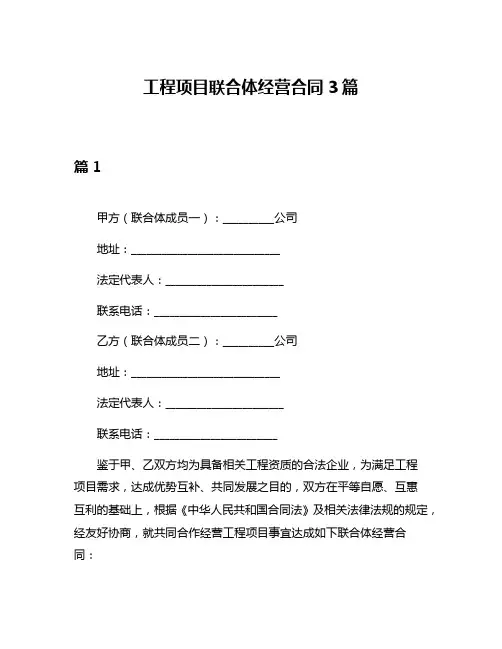 工程项目联合体经营合同3篇