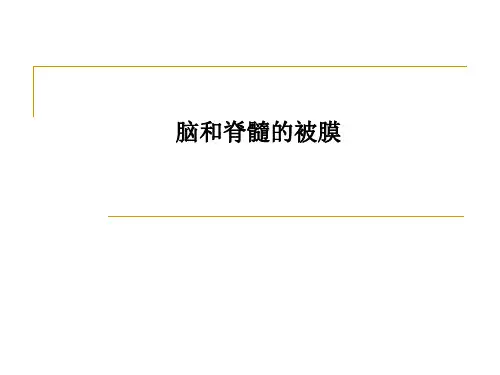 脑和脊髓的被膜
