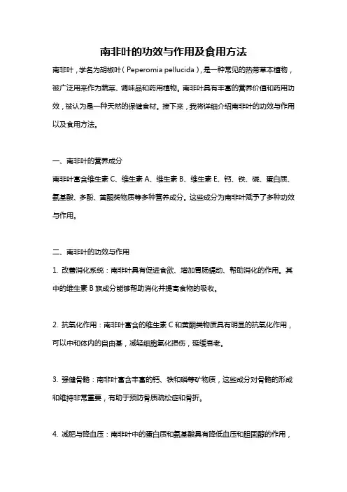 南非叶的功效与作用及食用方法