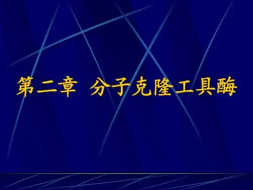 第二章 分子克隆工具酶