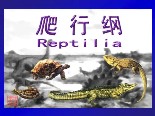 动物生物学 爬行纲