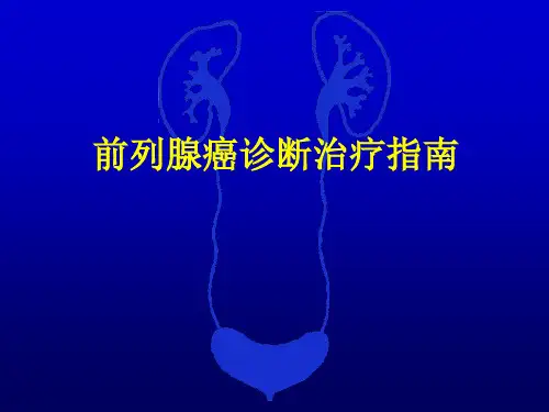 前列腺癌诊断治疗指南【48页】