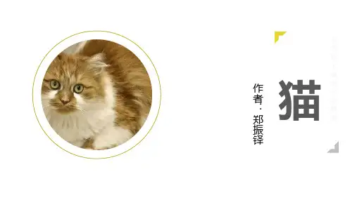部编版七年级上册语文《猫》说课课文课件